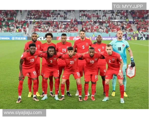 卡塔尔盛邀国际足球明星加盟助力世界杯精彩赛事 卡塔尔盛邀国际足球明星加盟助力世界杯精彩赛事