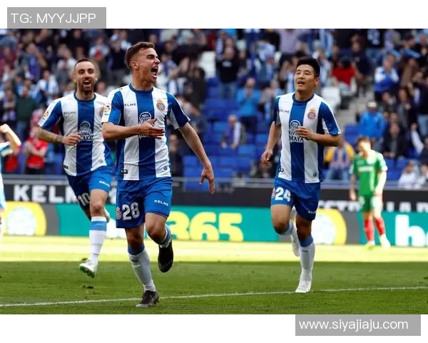 懂足球的人心目中的足球明星榜单与魅力解析