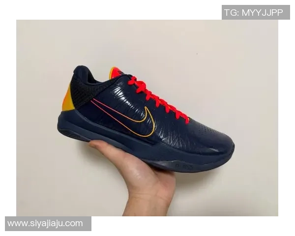 我心中的篮球传奇：那些让我热爱篮球的明星们