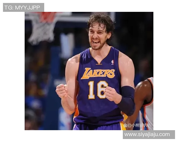 探寻don篮球明星的辉煌历程与场上风采背后的故事与成就